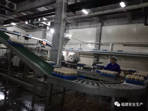 南平市安委辦開(kāi)展2018年宣教培訓(xùn)專(zhuān)項(xiàng)督查暨海西腹地安全發(fā)展行