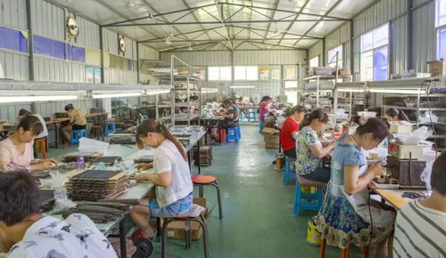 以產(chǎn)帶遷 以業(yè)促搬 勉縣移民安置社區(qū)產(chǎn)業(yè)就業(yè)聯(lián)動發(fā)展促脫貧技術(shù)服務(wù)